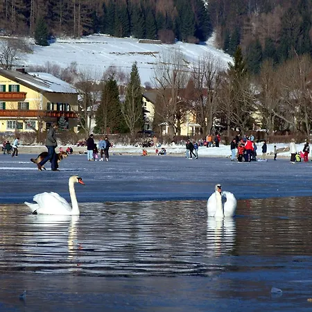 Hotel Vogl's Nest