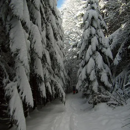 فندق Vogl's Nest