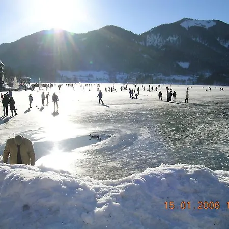 Vogl's Nest 푸슐암시