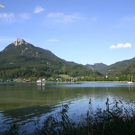 Vogl's Nest فندق