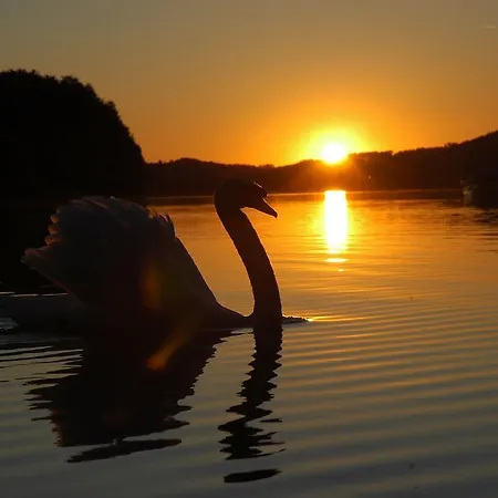 מלון Vogl's Nest 4*