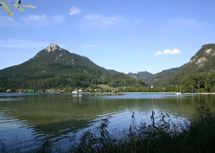 Vogl's Nest Отель